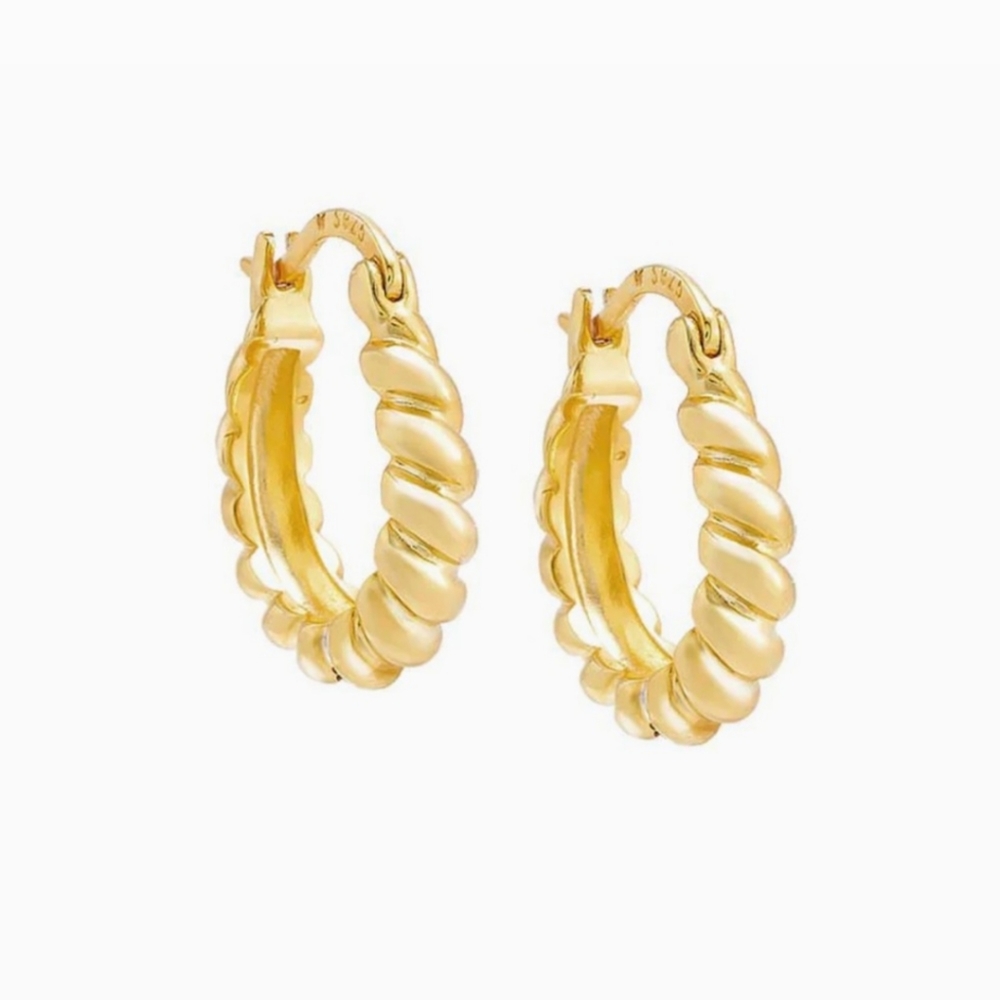 COPY - Adina Eden Graduated Twist Hoop Earrings